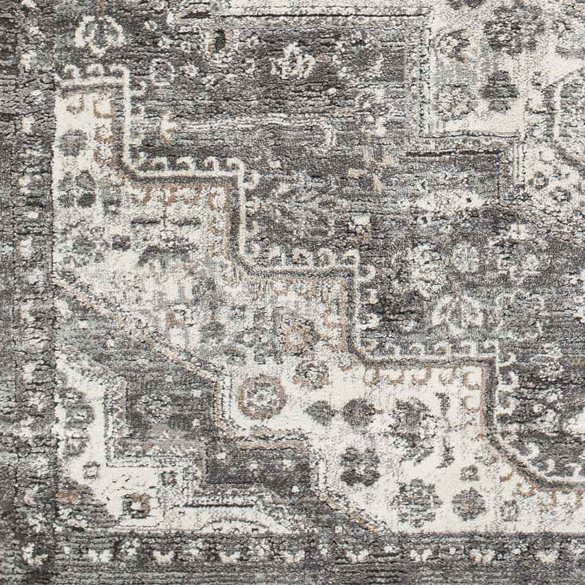 New Ross Traditional Charcoal Area Rug