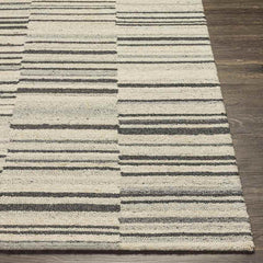 Shipshewana Modern Beige Area Rug