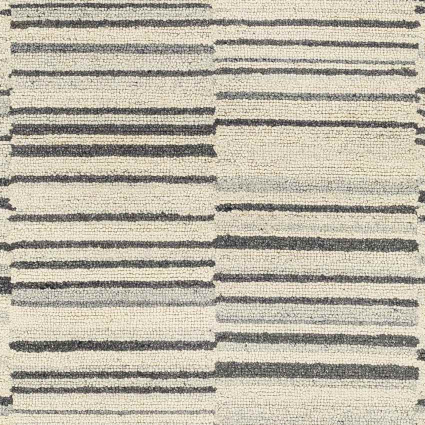 Shipshewana Modern Beige Area Rug