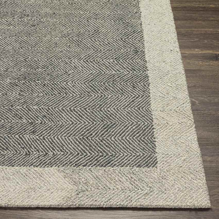 Spiceland Modern Charcoal Area Rug