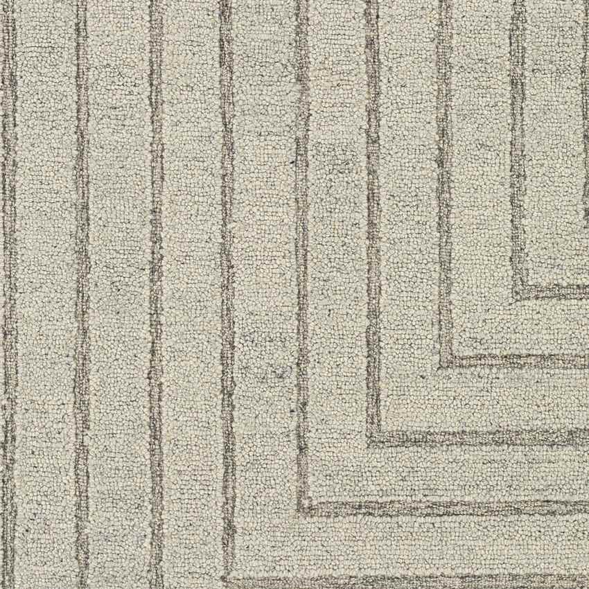 Springport Modern Light Gray Area Rug