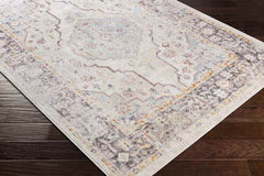 Hanover Park Traditional Beige Area Rug
