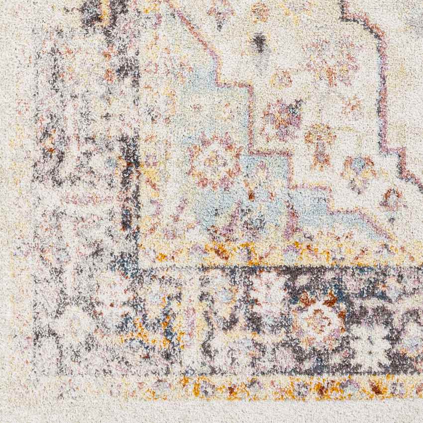 Hanover Park Traditional Beige Area Rug