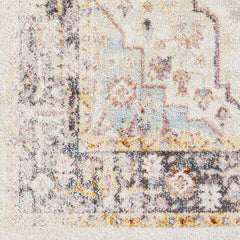 Hanover Park Traditional Beige Area Rug