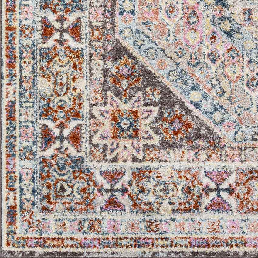 Indian Creek Traditional Dark Brown Area Rug