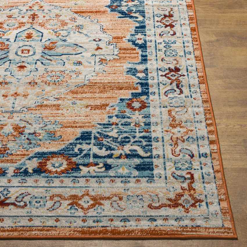 Burket Traditional Burnt Orange Area Rug