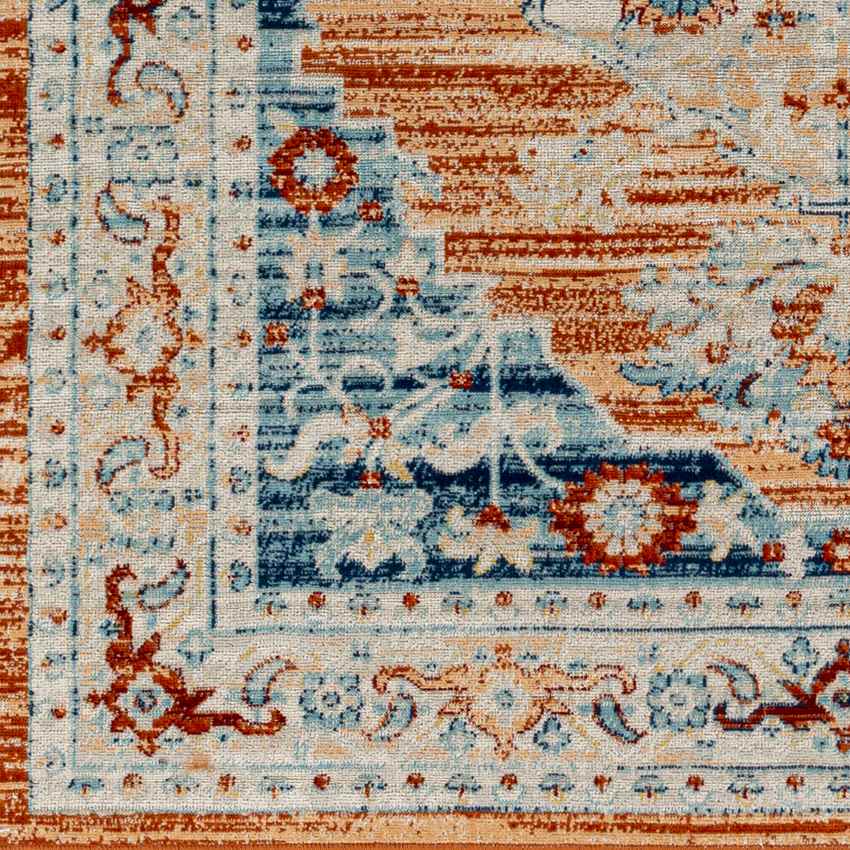 Burket Traditional Burnt Orange Area Rug