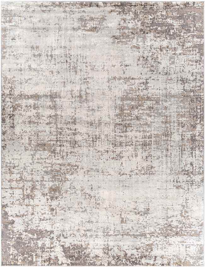 Sherborne Modern Medium Gray Area Rug