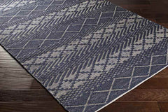 Sue Global Navy Area Rug