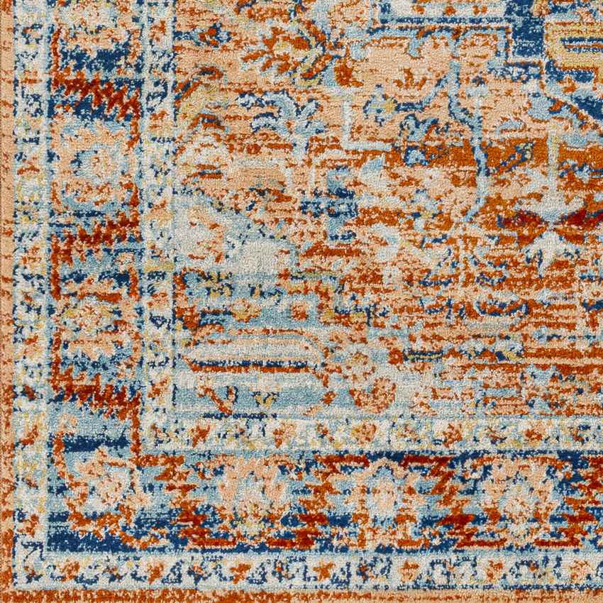 Cannelburg Traditional Burnt Orange Area Rug