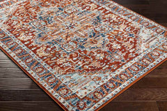 Cannelburg Traditional Garnet Area Rug