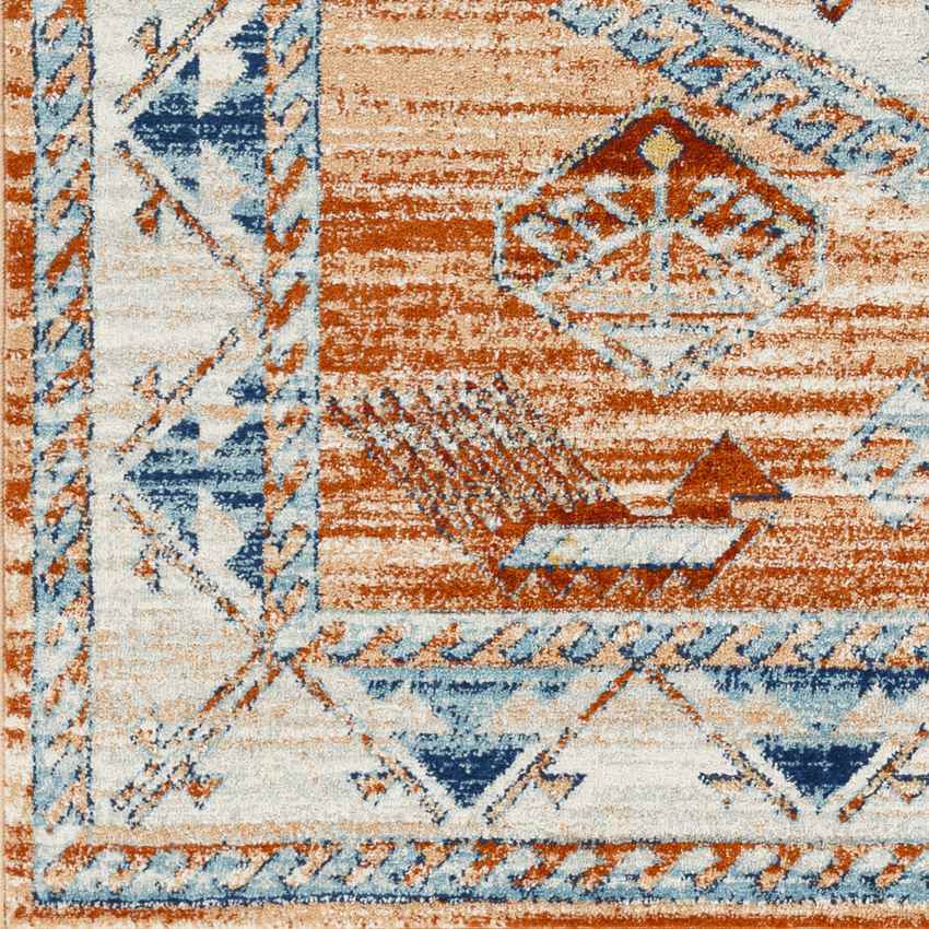Cayuga Traditional Burnt Orange Area Rug