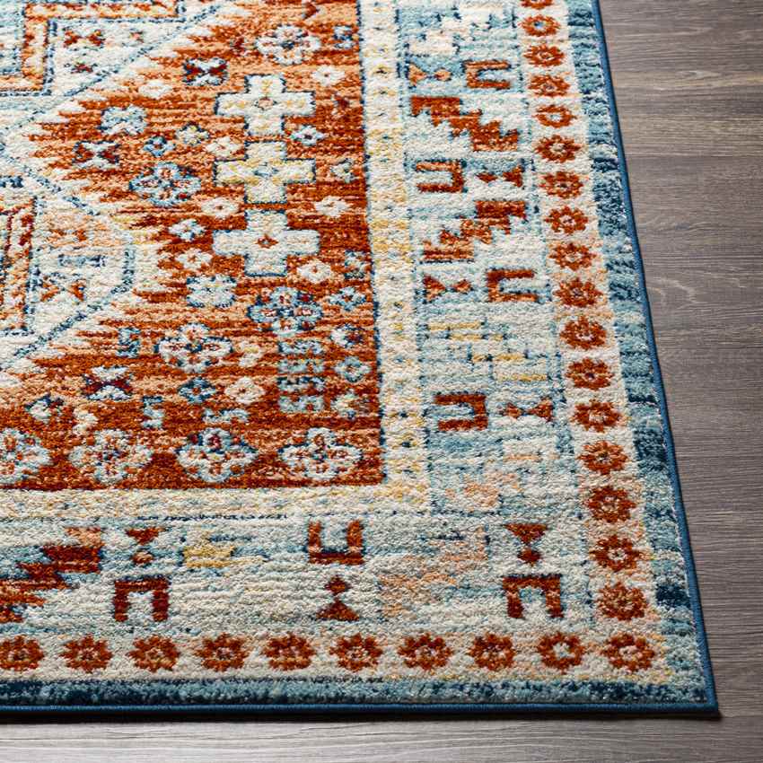 Chalmers Traditional Burnt Orange Area Rug