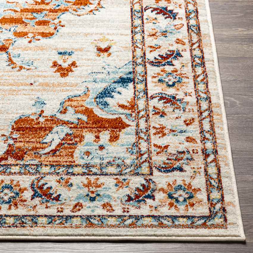 Mhilea Traditional Burnt Orange Area Rug