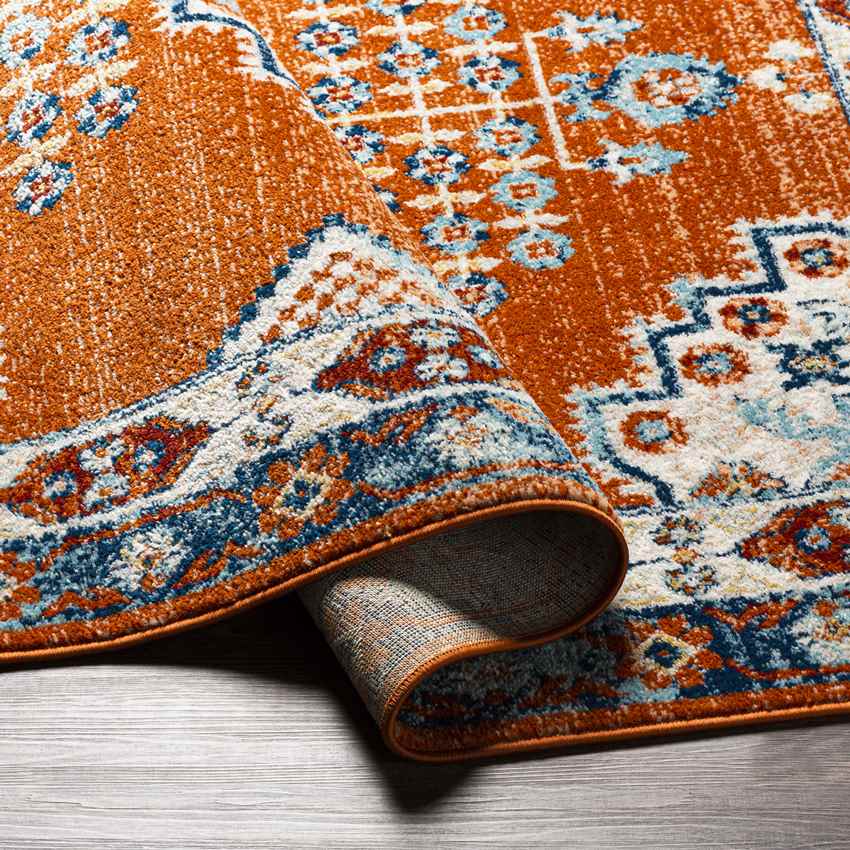 Churubusco Traditional Tangerine Area Rug