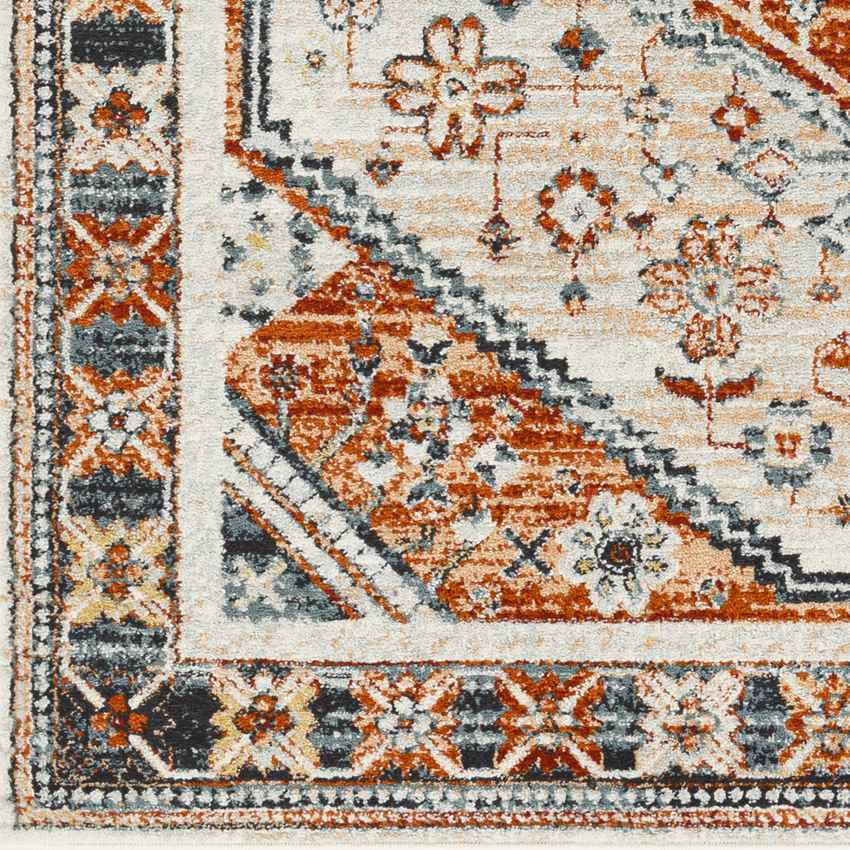 Corunna Traditional Burnt Orange Area Rug
