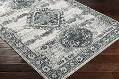 Darmstadt Traditional Pale Blue Area Rug