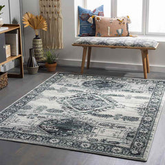 Darmstadt Traditional Pale Blue Area Rug