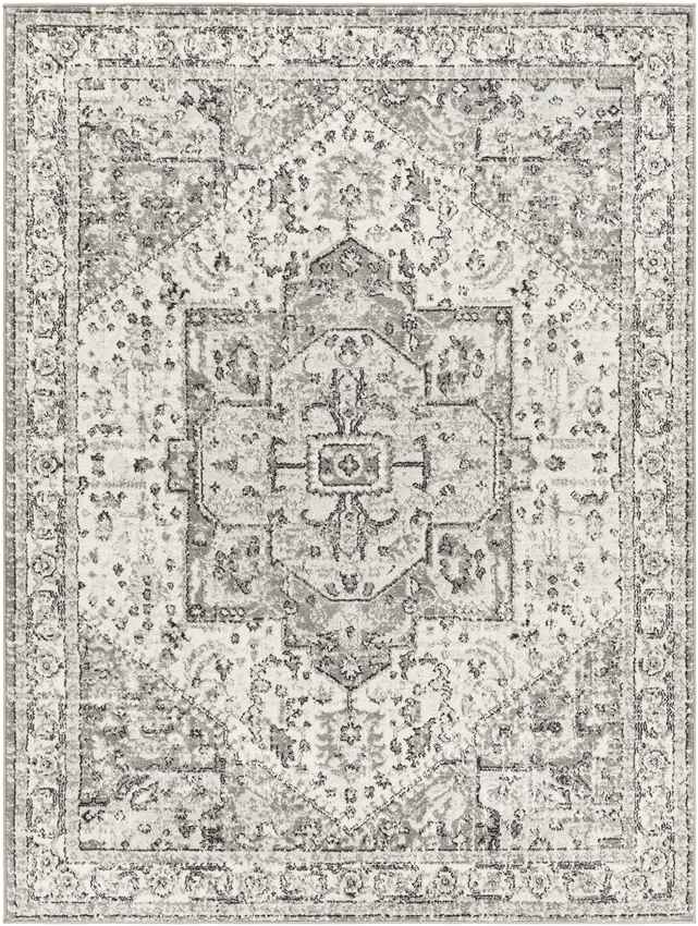 Dillsboro Traditional Gray Area Rug