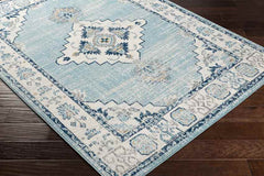 Dunreith Traditional Aqua Area Rug