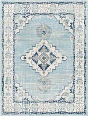 Dunreith Traditional Aqua Area Rug