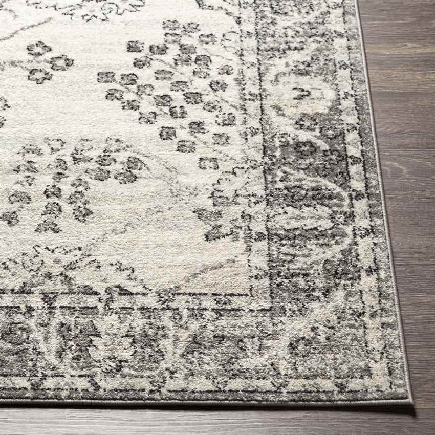 Dupont Traditional Gray Area Rug