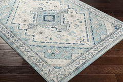 Earl Park Traditional Aqua Area Rug