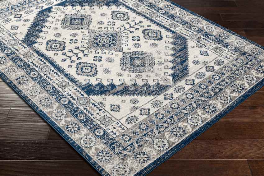 East Germantown Traditional Navy Area Rug