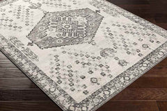 Economy Traditional Gray Area Rug