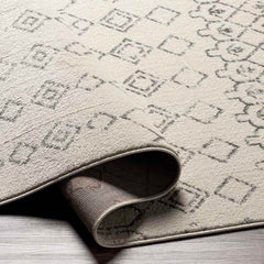 Hays Global Ivory Area Rug