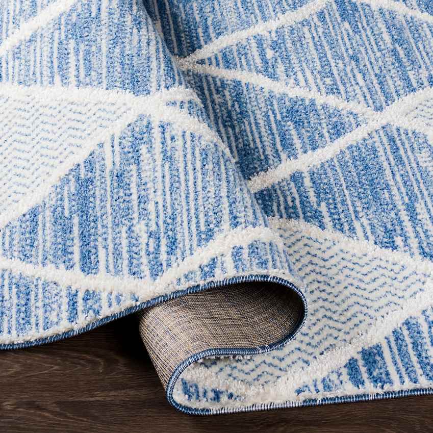 Edna Global Denim Area Rug