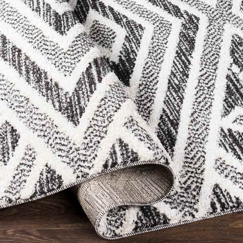 Fort Wayne Global Black Area Rug