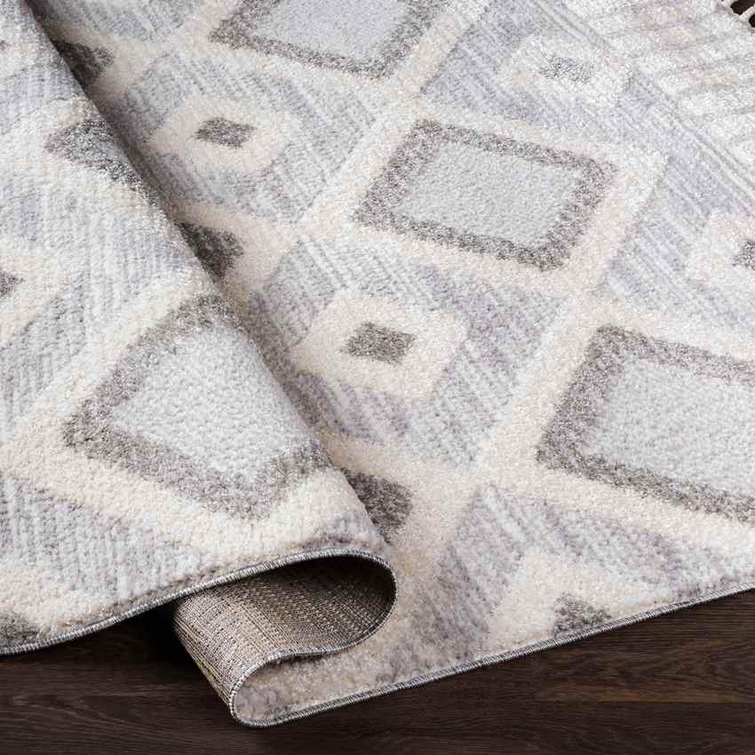 Gary Global Light Gray Area Rug