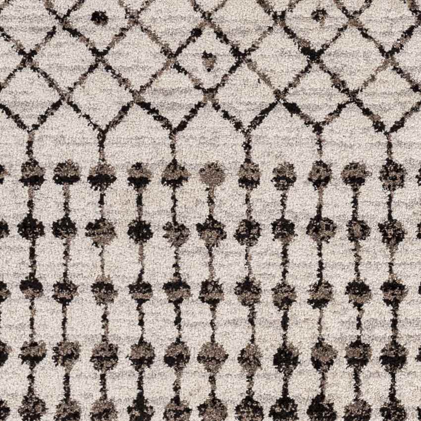 Ricketts Global Medium Gray Area Rug