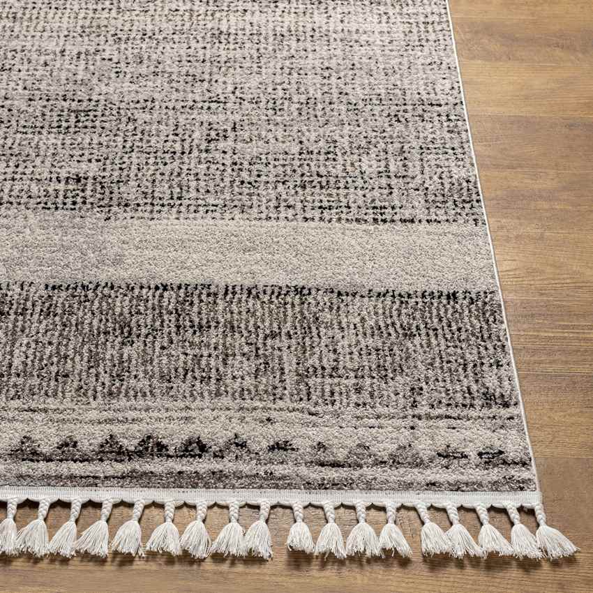 Rock Rapids Global Charcoal Area Rug