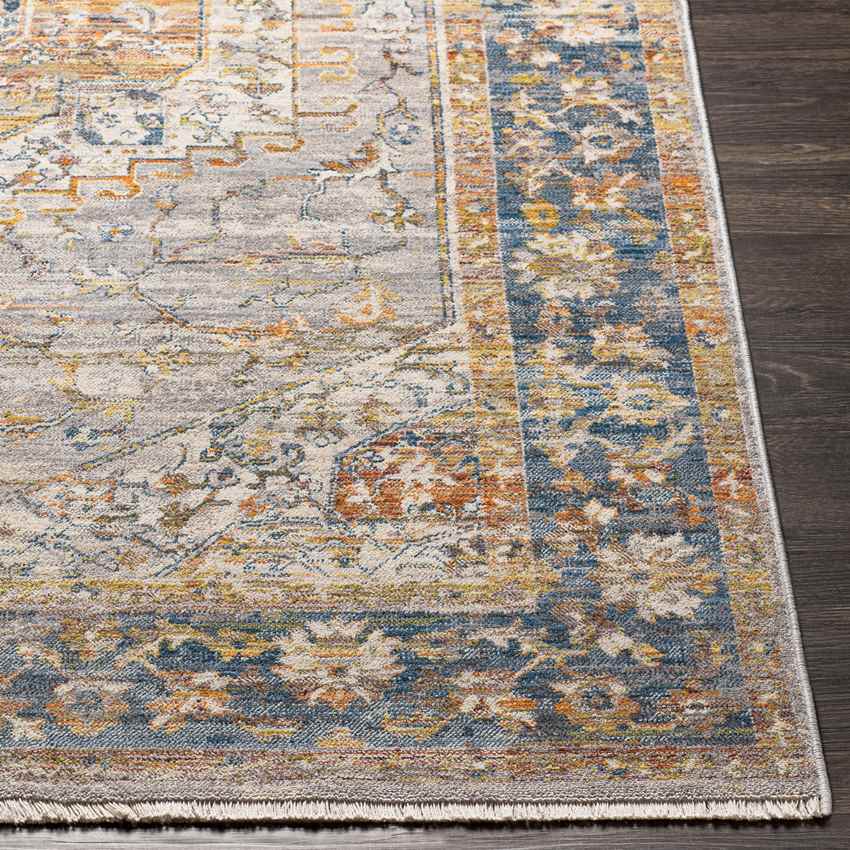 Scarville Traditional Beige Area Rug