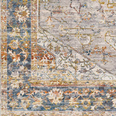 Scarville Traditional Beige Area Rug