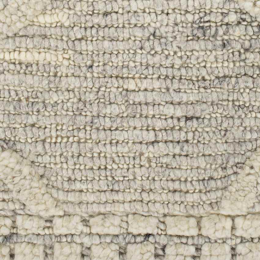 Thompson Global Beige Area Rug