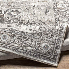 Griswold Traditional Gray Area Rug