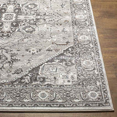 Griswold Traditional Gray Area Rug