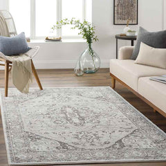 Griswold Traditional Gray Area Rug