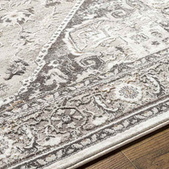 Griswold Traditional Gray Area Rug