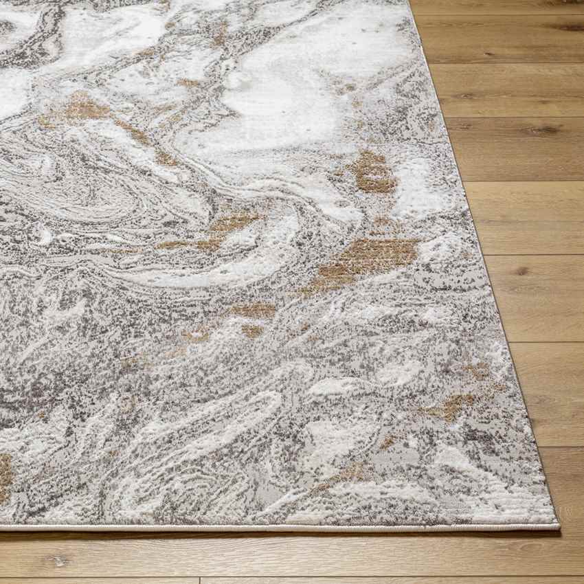 Gruver Modern Light Gray Area Rug