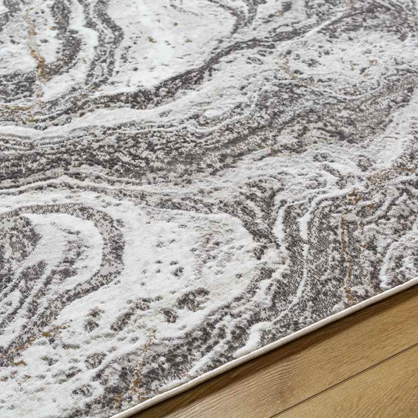 Guttenberg Modern Beige Area Rug