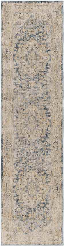 Harcourt Traditional Ice Blue Area Rug