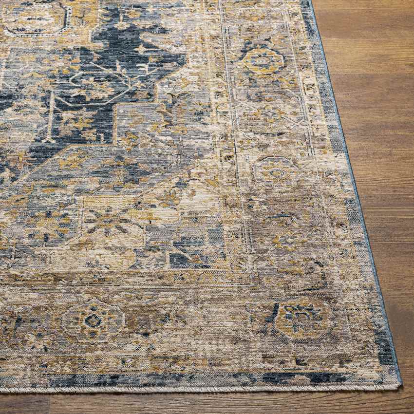 Harcourt Traditional Ice Blue Area Rug