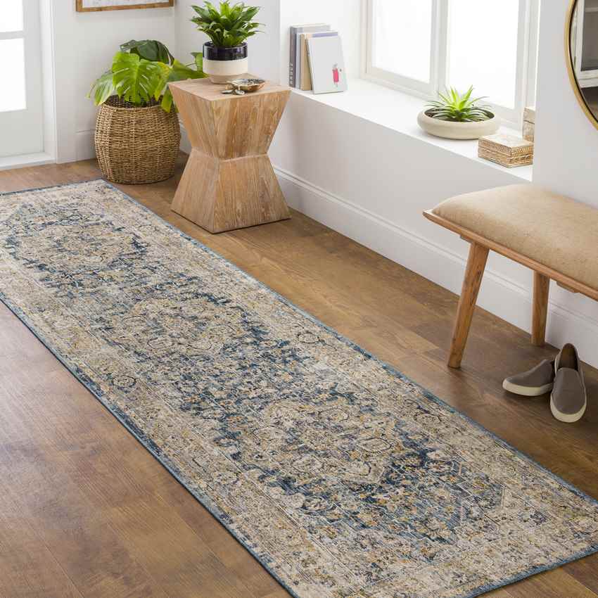 Harcourt Traditional Ice Blue Area Rug