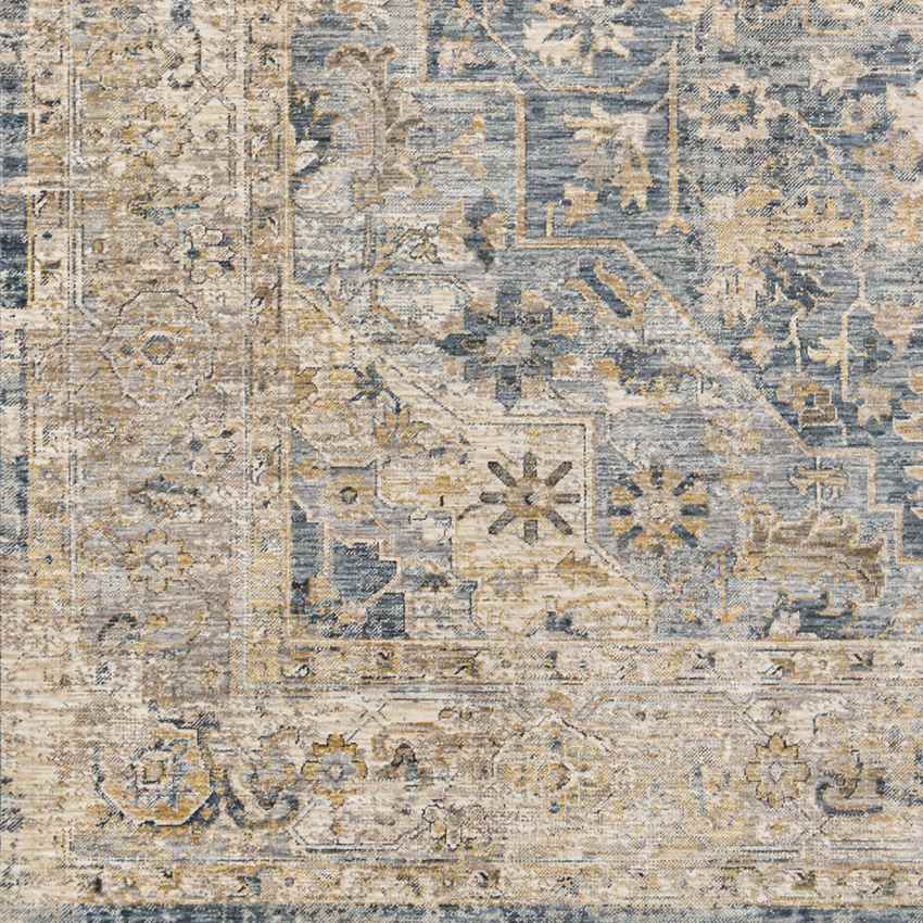 Harcourt Traditional Ice Blue Area Rug