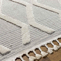 Ammochostos Global Gray Area Rug