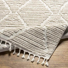 Tymbou Global Beige Area Rug